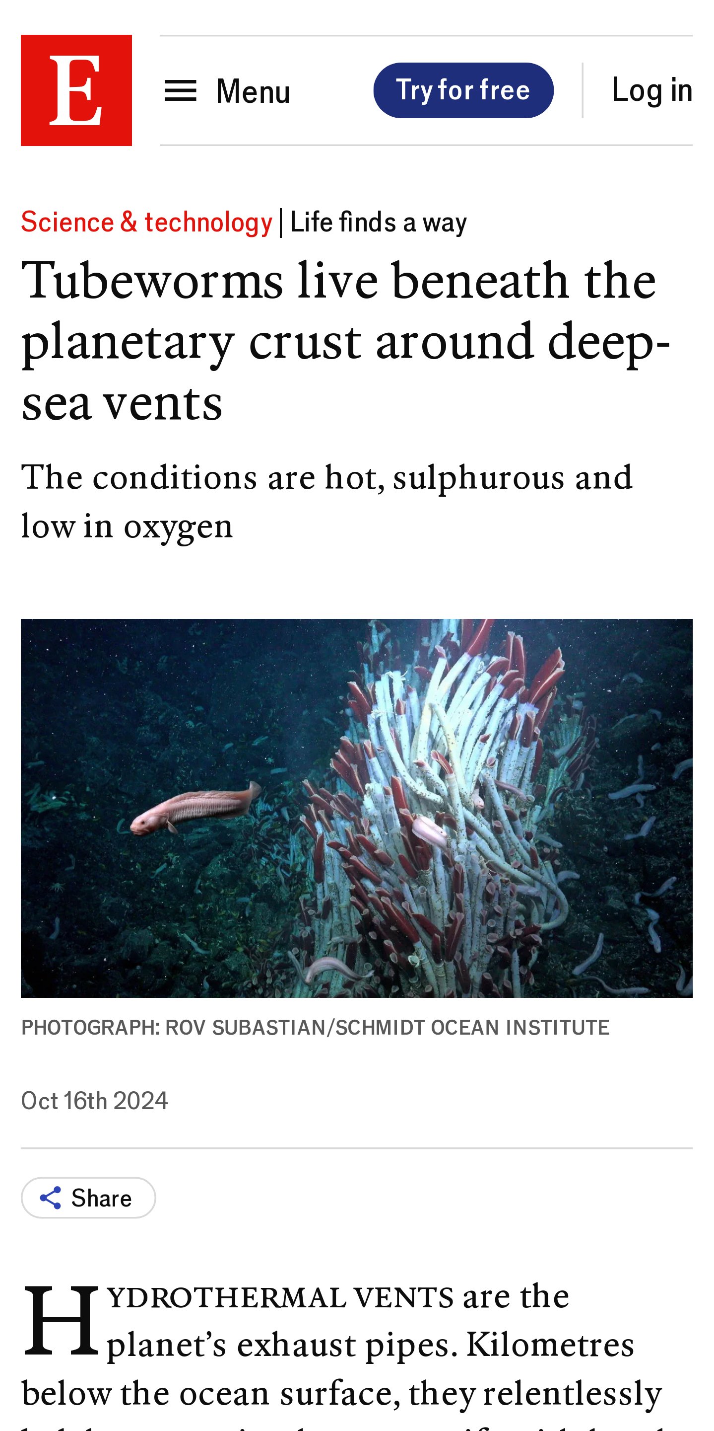 Tubeworms live around deep-sea vents